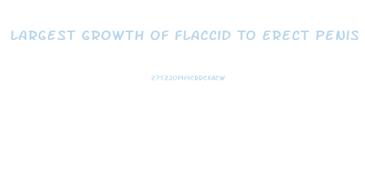 Largest Growth Of Flaccid To Erect Penis