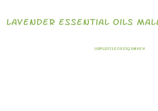 Lavender Essential Oils Male Enhancement