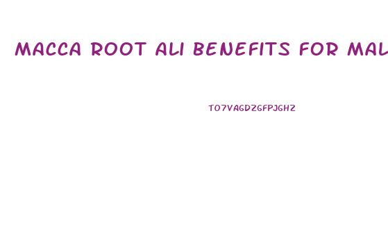 Macca Root Ali Benefits For Male In Enhancement