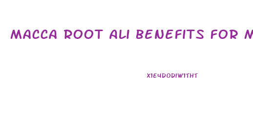 Macca Root Ali Benefits For Male In Enhancement