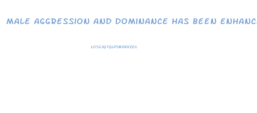 Male Aggression And Dominance Has Been Enhanced Due To