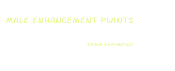 Male Enhancement Plants