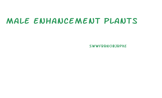 Male Enhancement Plants
