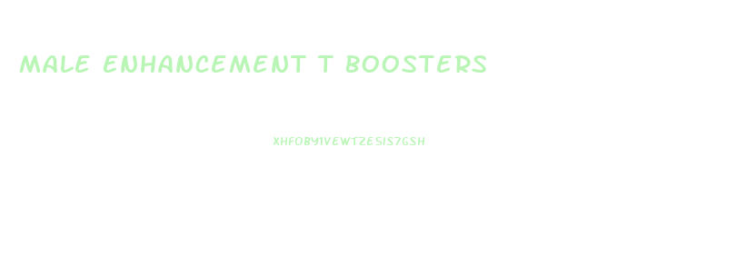 Male Enhancement T Boosters