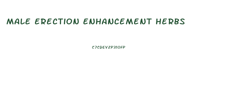 Male Erection Enhancement Herbs