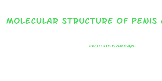 Molecular Structure Of Penis Enlargement