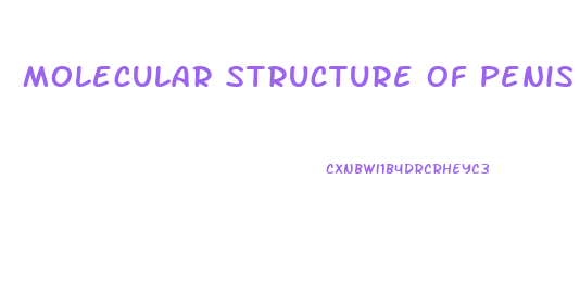 Molecular Structure Of Penis Enlargement