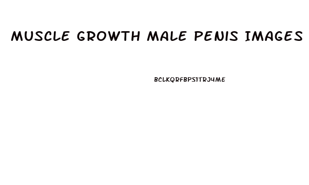 Muscle Growth Male Penis Images