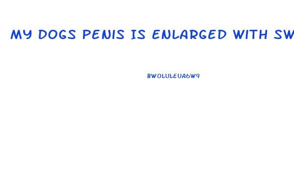 My Dogs Penis Is Enlarged With Swelling At The Base