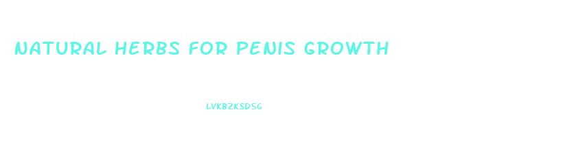 Natural Herbs For Penis Growth