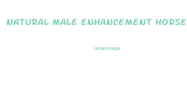 Natural Male Enhancement Horse Pills