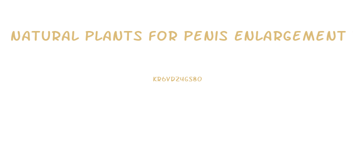 Natural Plants For Penis Enlargement In Nigeria