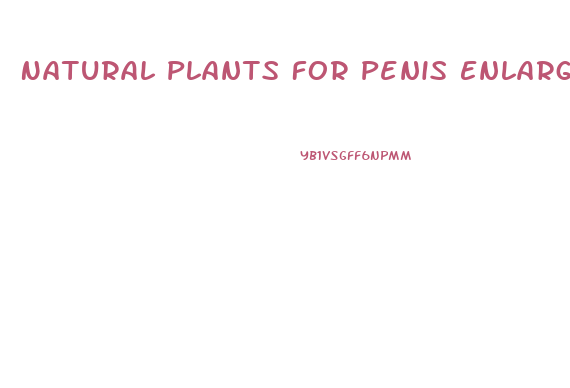 Natural Plants For Penis Enlargement In Nigeria