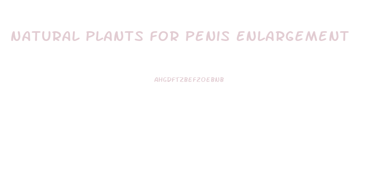 Natural Plants For Penis Enlargement