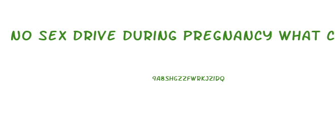 No Sex Drive During Pregnancy What Can I Do