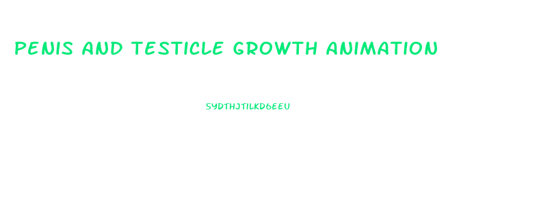 Penis And Testicle Growth Animation