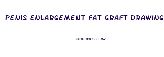 Penis Enlargement Fat Graft Drawing