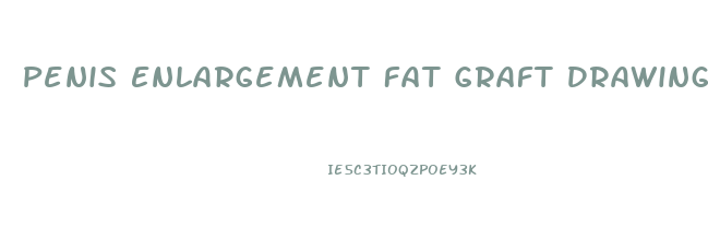 Penis Enlargement Fat Graft Drawing