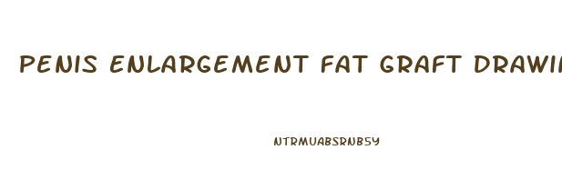 Penis Enlargement Fat Graft Drawing