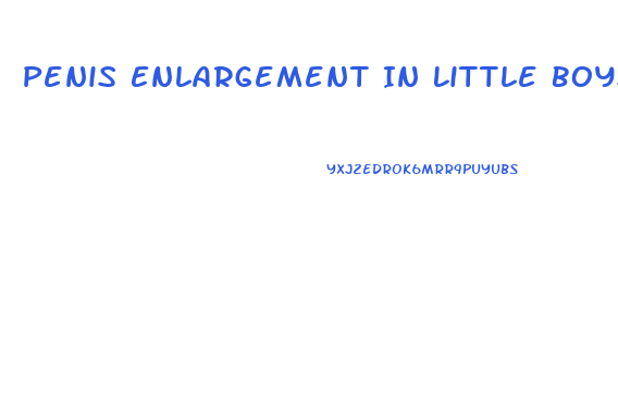 Penis Enlargement In Little Boys