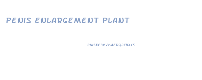 Penis Enlargement Plant