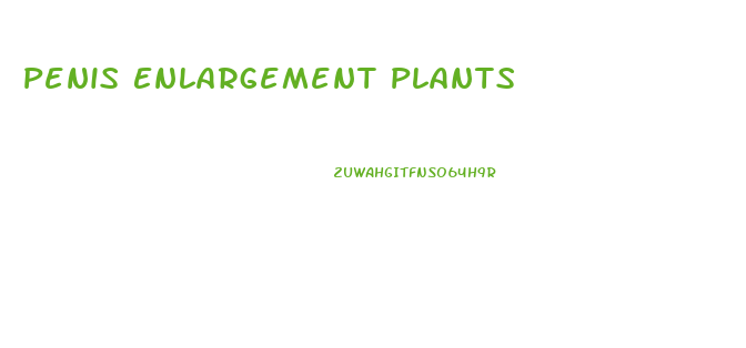 Penis Enlargement Plants