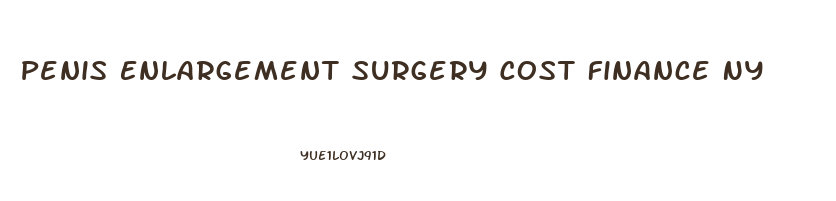 Penis Enlargement Surgery Cost Finance Ny