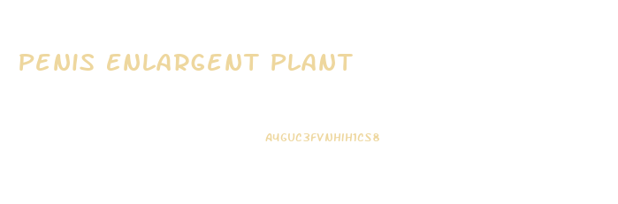 Penis Enlargent Plant