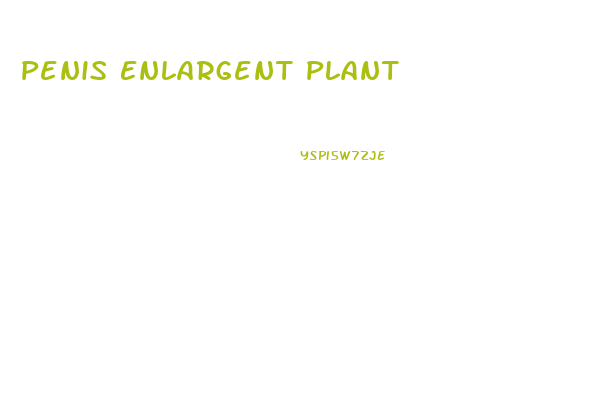 Penis Enlargent Plant