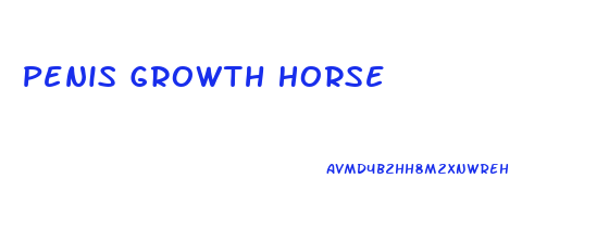 Penis Growth Horse