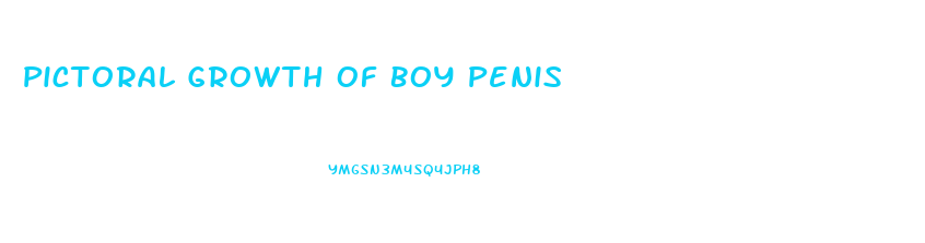 Pictoral Growth Of Boy Penis