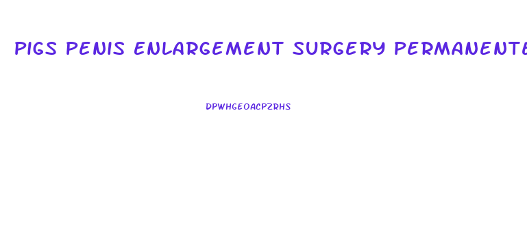 Pigs Penis Enlargement Surgery Permanente