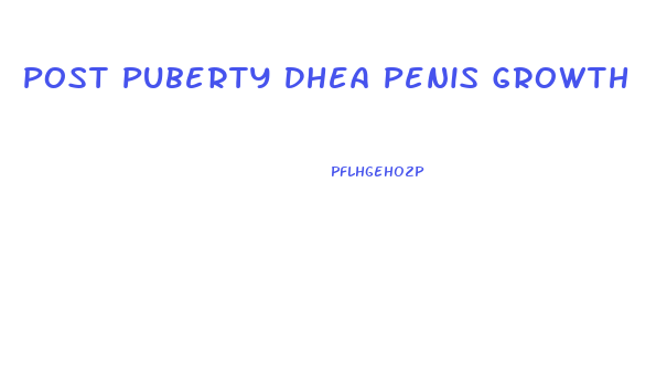 Post Puberty Dhea Penis Growth