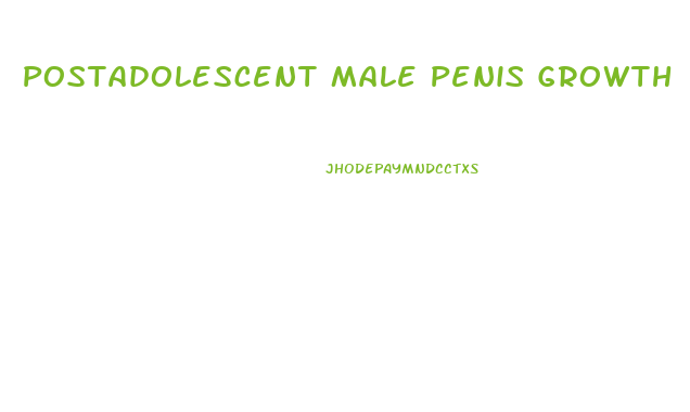 Postadolescent Male Penis Growth