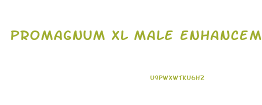 Promagnum Xl Male Enhancement Penis Enlargement Pills At