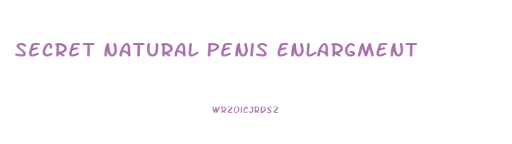 Secret Natural Penis Enlargment