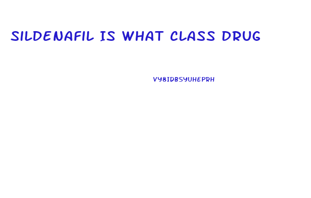 Sildenafil Is What Class Drug