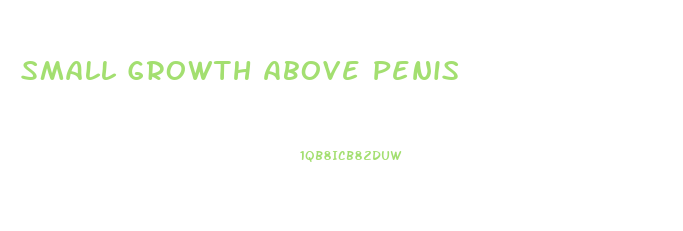 Small Growth Above Penis