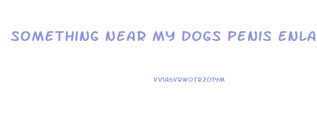 Something Near My Dogs Penis Enlarges And Shrinks