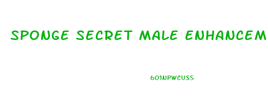 Sponge Secret Male Enhancement