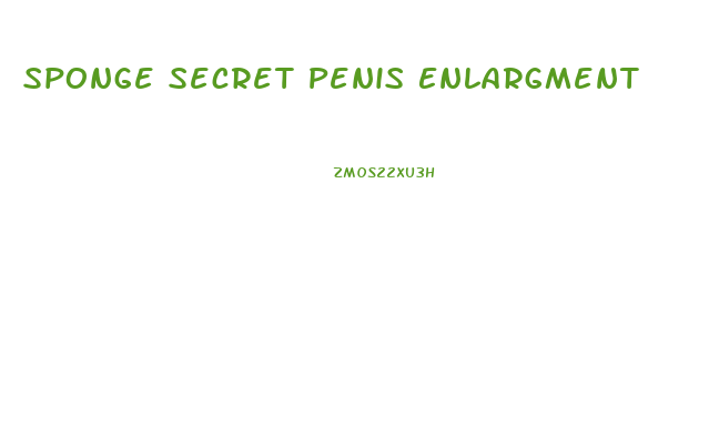 Sponge Secret Penis Enlargment