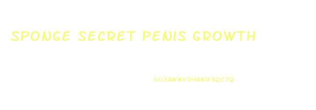 Sponge Secret Penis Growth