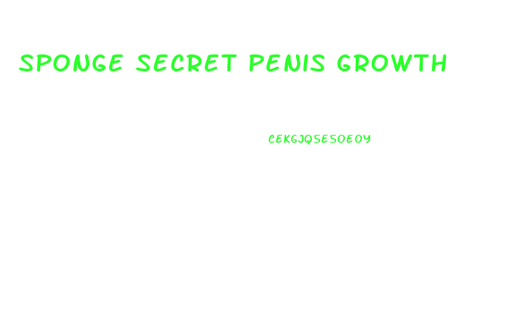 Sponge Secret Penis Growth