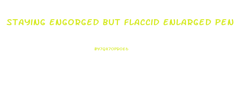 Staying Engorged But Flaccid Enlarged Penis