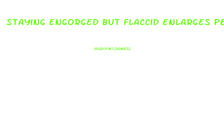 Staying Engorged But Flaccid Enlarges Penis