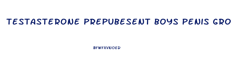 Testasterone Prepubesent Boys Penis Growth