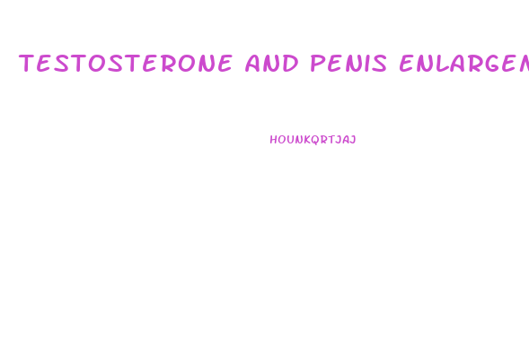 Testosterone And Penis Enlargement