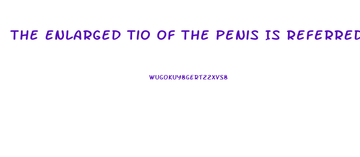 The Enlarged Tio Of The Penis Is Referred To As