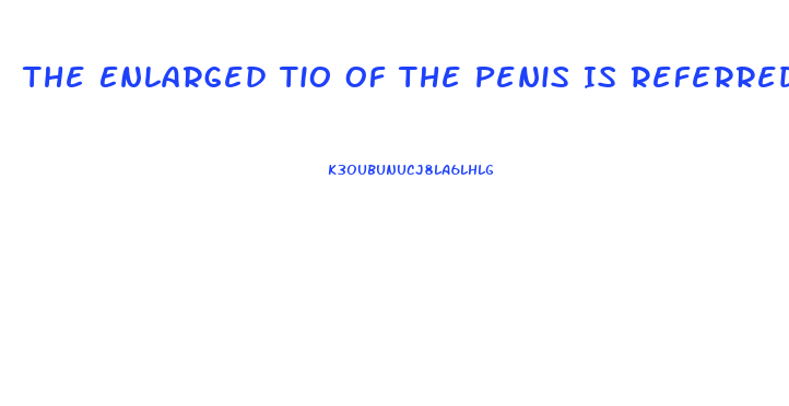 The Enlarged Tio Of The Penis Is Referred To As