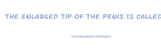 The Enlarged Tip Of The Penis Is Called